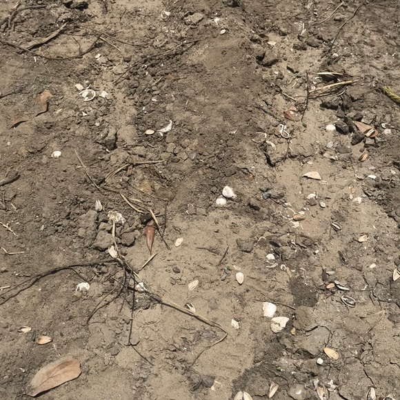 Meet your Posher, Kyle - Picture 1 of 1